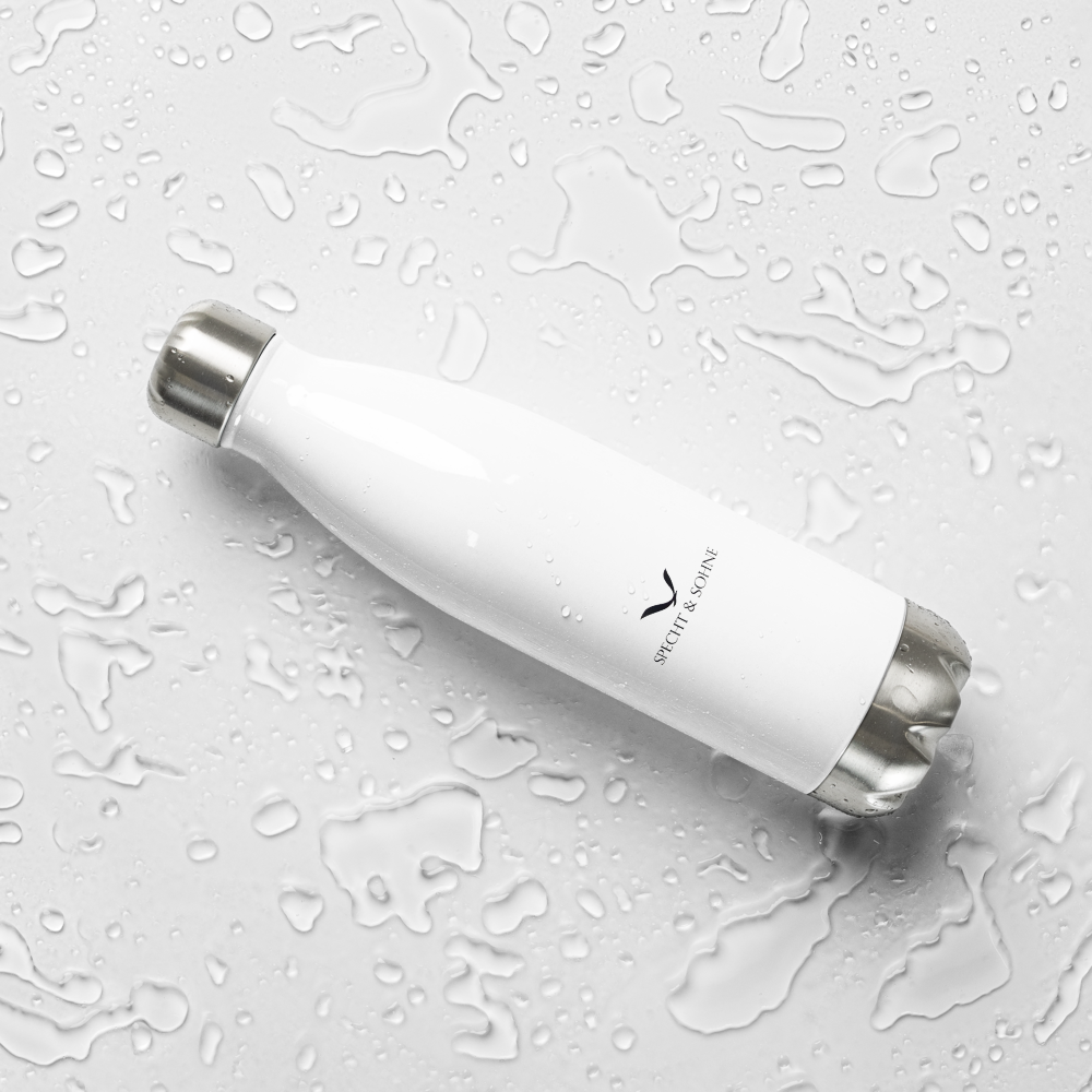 Stainless Steel Water Bottle